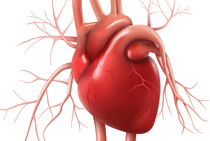 Cathlab Plus - Abbott - Home